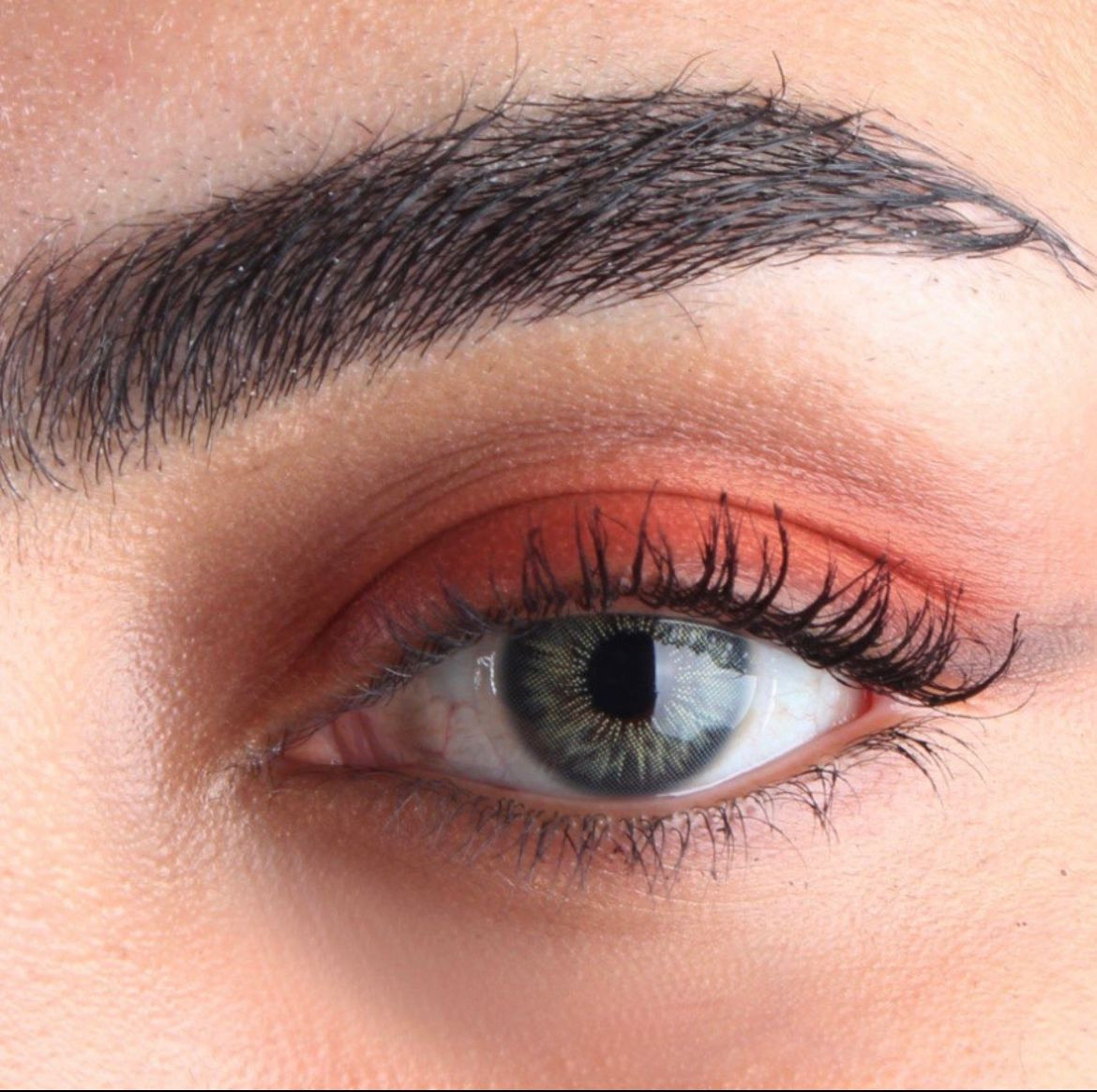 عدسات كايسي