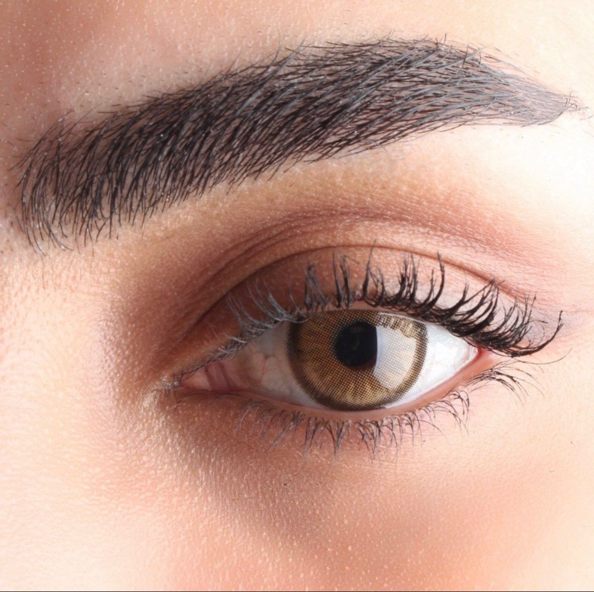 عدسات داون براون