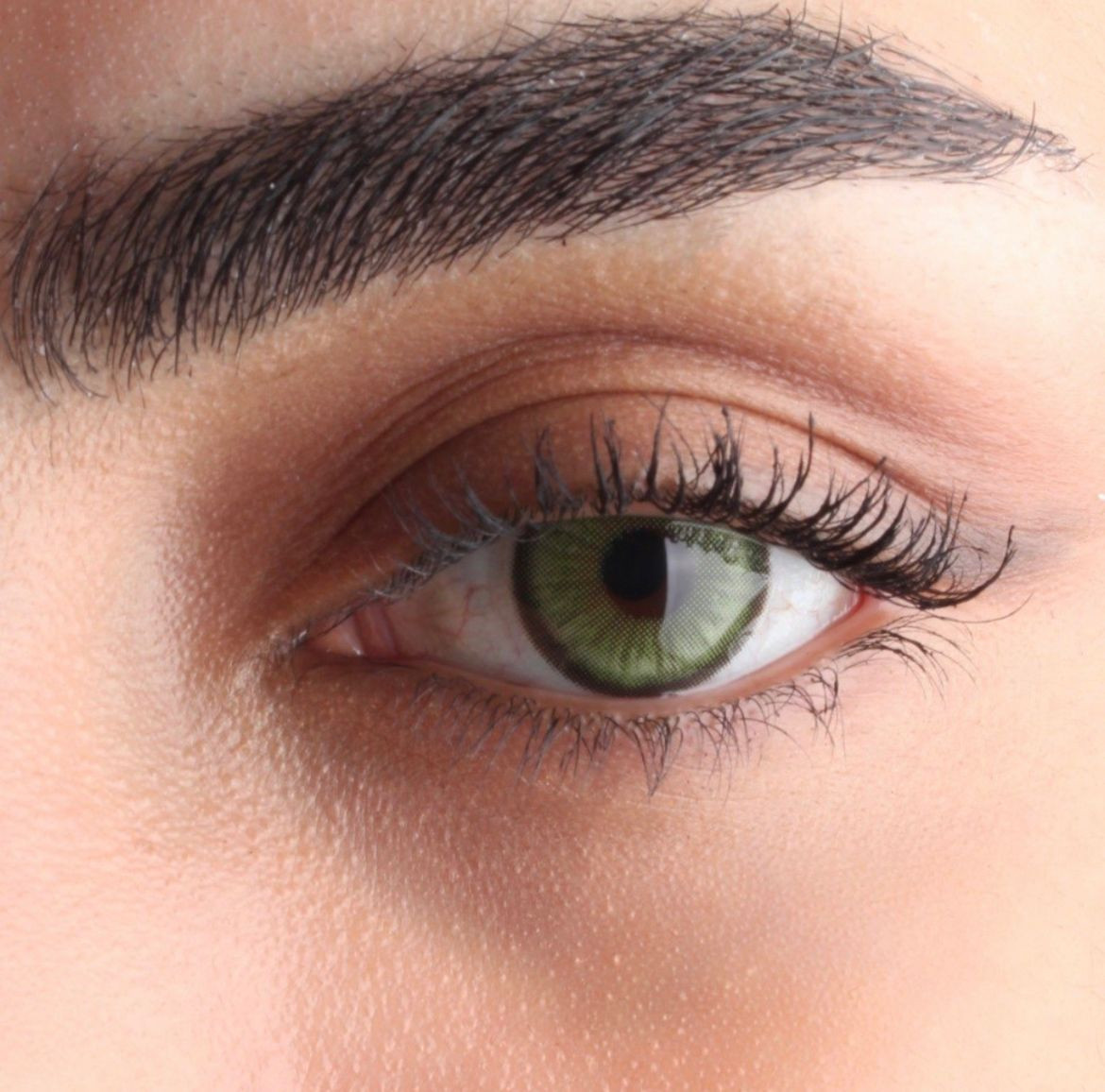 عدسات داون قريين